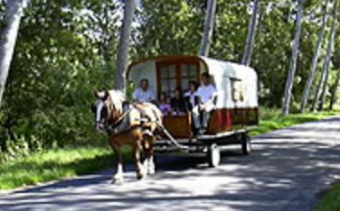 Location de calèche, mariage, balade